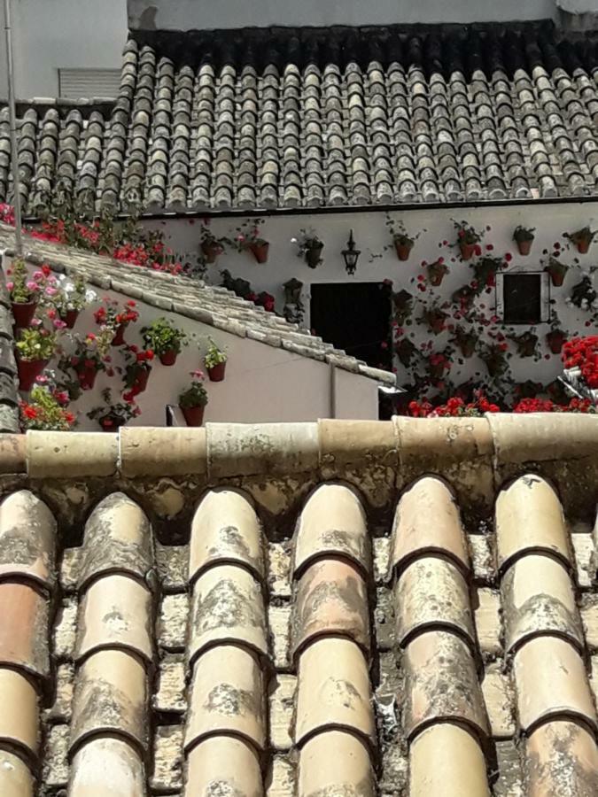 Los Tejares Del Alcazar Кордова Екстер'єр фото
